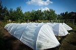 Парники Подснежник 6 м