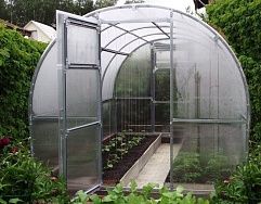
            Теплица Садовая-ЦИНК в г Ступино
