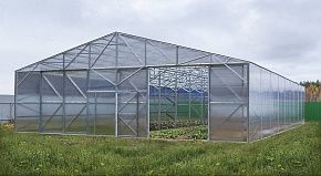 
            Теплица Фермерская 11,5 в г Ожерелье